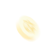 KitVN